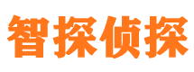 江门市私家侦探